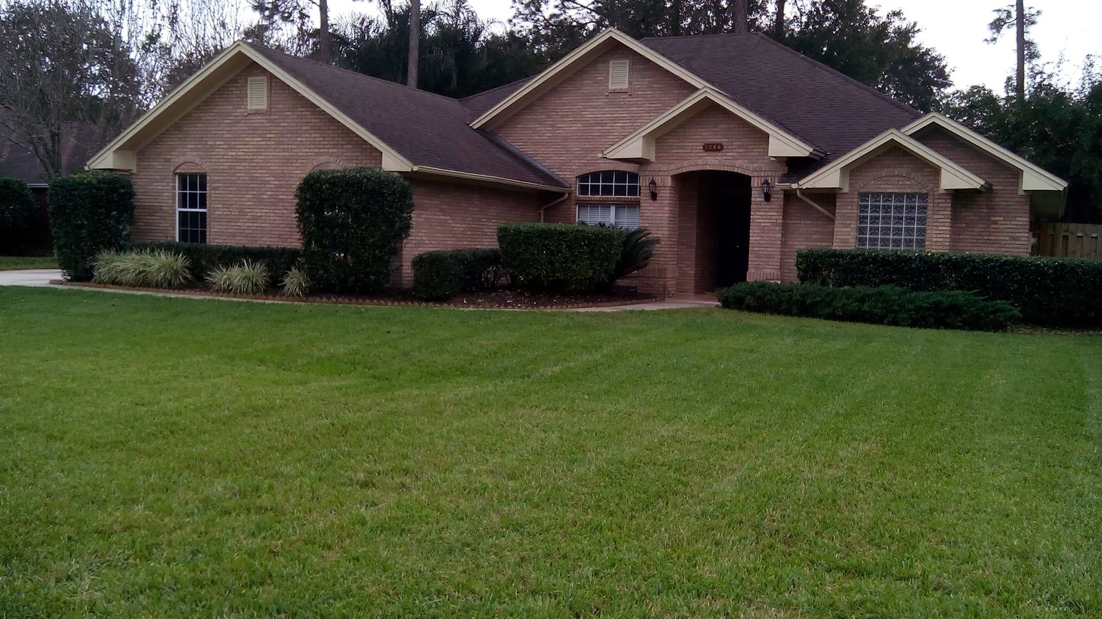 Manicured Jacksonville front lawn, customer for over 2 years
