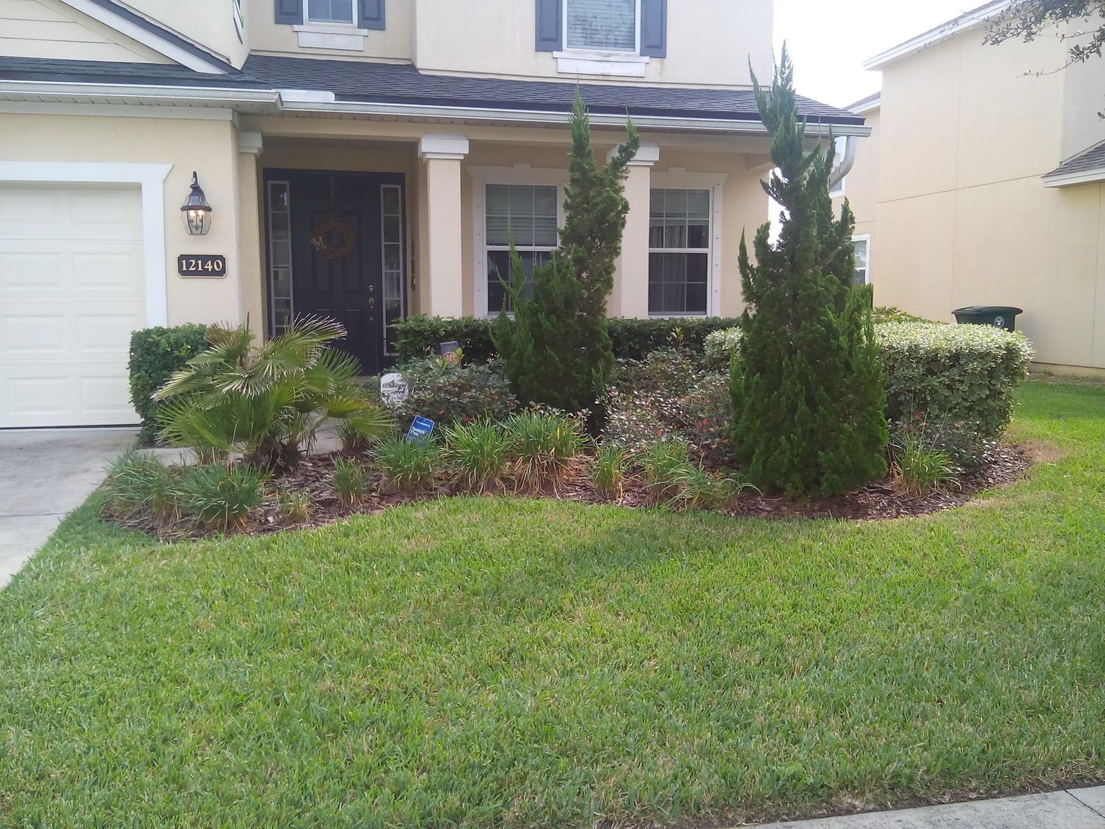 Curved mulch bed and palms, customer for over 2 years