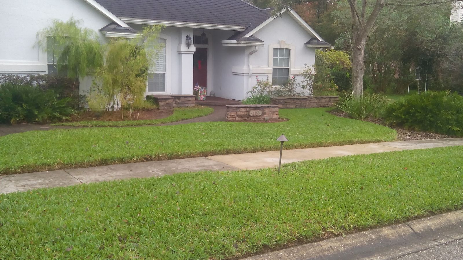 Front lawn Jimmy has maintained over 3 years