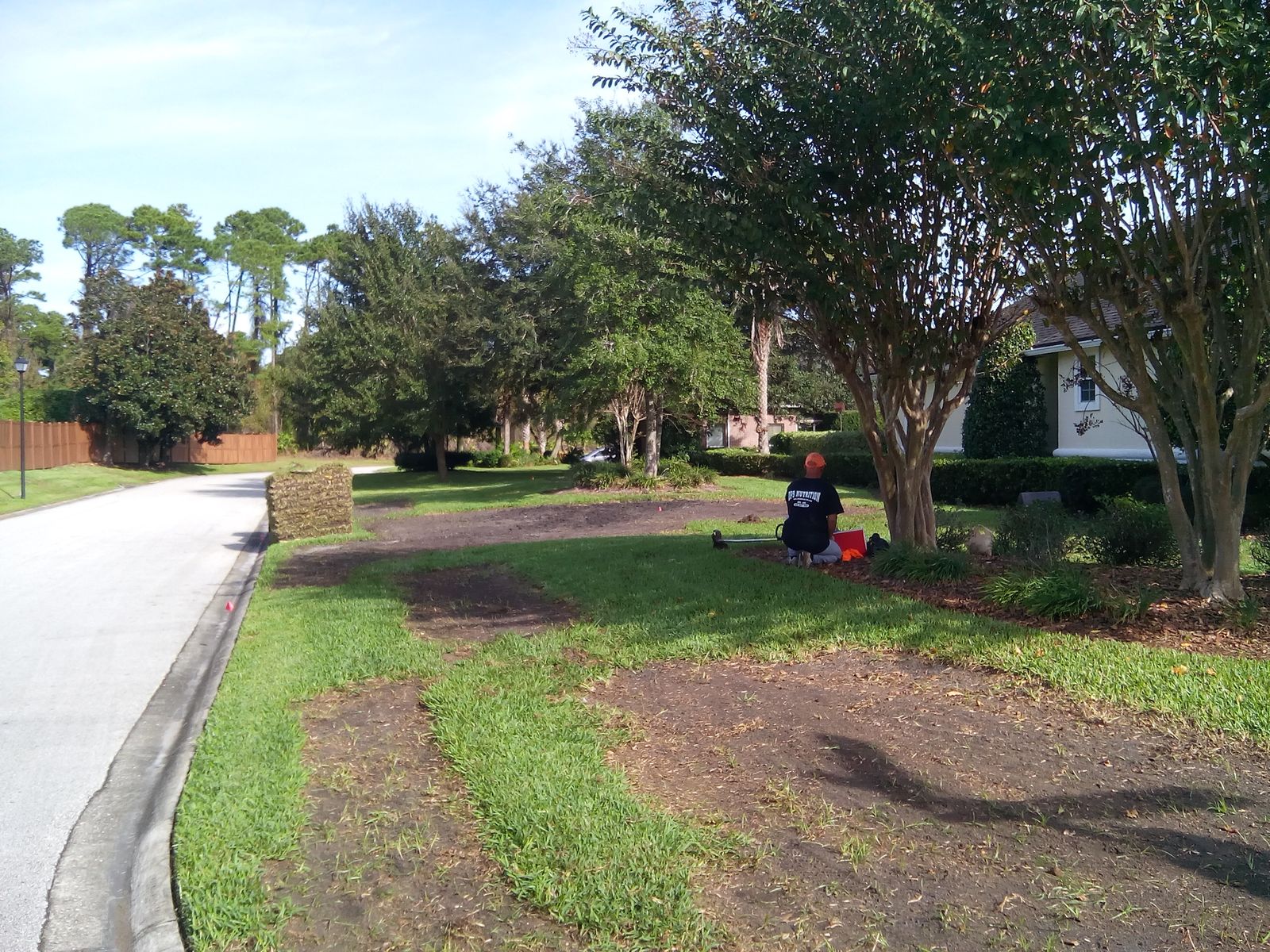 Jimmy installing sod on a residential street