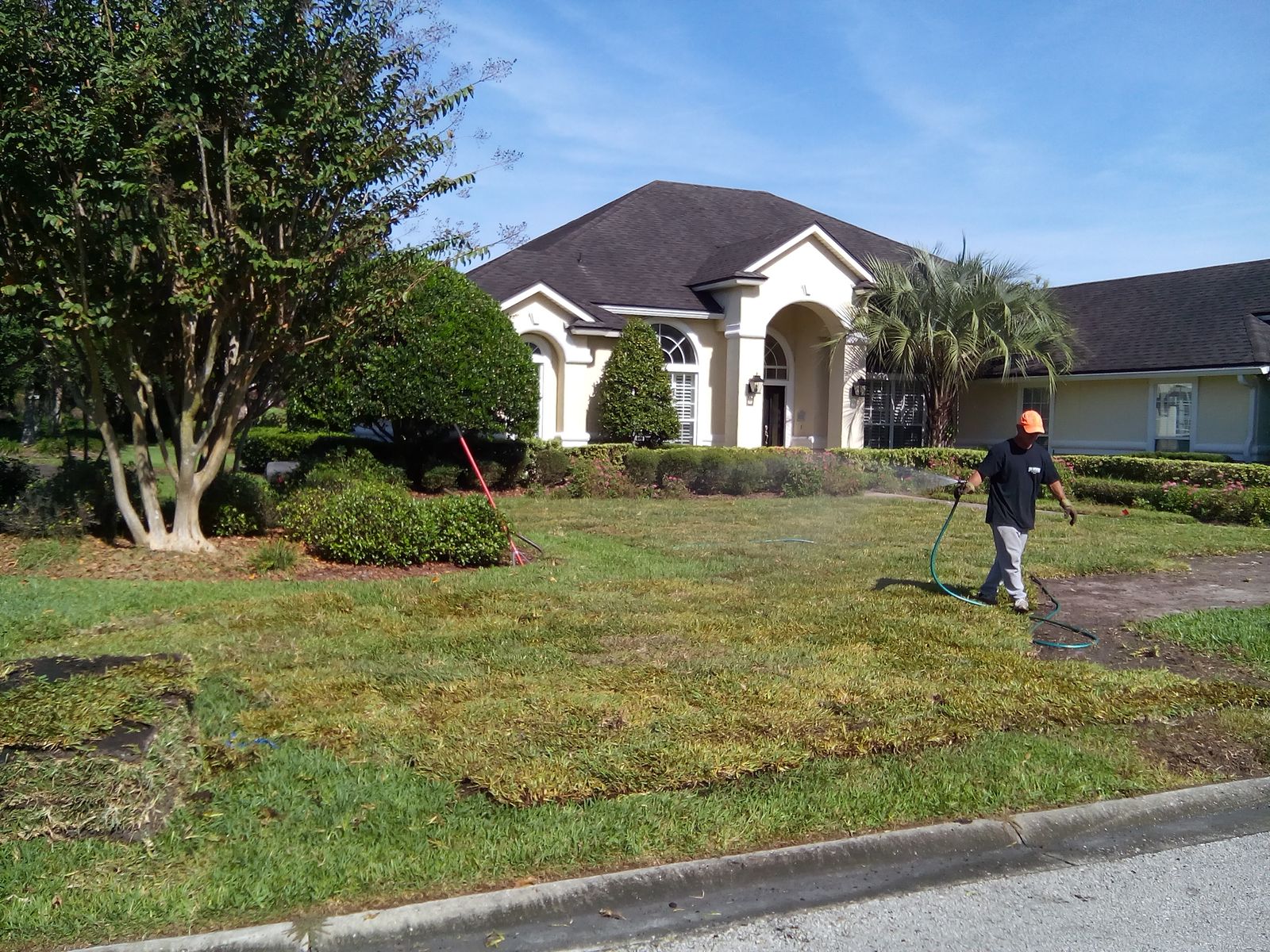 Lawn repair in progress